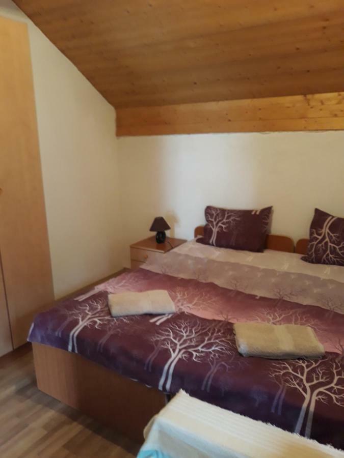 Apartment Suzana Mavrovo Rum bild